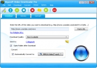 Bigasoft Video Downloader PRO v3.16.8.6947 + key