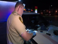 Cops S35E08 480p x264-mSD EZTV