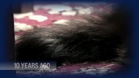 My Strange Addiction Still Addicted S01E01 XviD-AFG EZTV My Strange Addiction Still Addicted S01E01 XviD-AFG EZTV