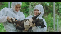 Once Upon a Small Town S01E02 XviD-AFG EZTV Once Upon a Small Town S01E02 XviD-AFG EZTV
