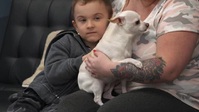 Pets And Pickers S01E03 XviD-AFG EZTV