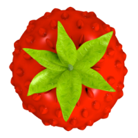 Smultron 10.1.8 (macOS)