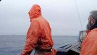 Deadliest Catch S19E18 XviD-AFG EZTV