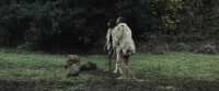 Romulus & Remus: The First King (2019) [BluRay] [720p] [YTS] [YIFY]
