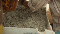 Building Off the Grid S13E03 XviD-AFG EZTV
