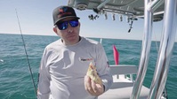 The Fish Guys S05E01 XviD-AFG EZTV The Fish Guys S05E01 XviD-AFG EZTV