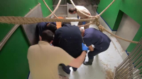 Animal Embassy S01E04 XviD-AFG EZTV Animal Embassy S01E04 XviD-AFG EZTV