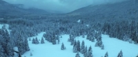Numb (2015) [BluRay] [1080p] [YTS] [YIFY]
