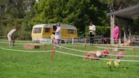 Taskmaster NZ S04E06 720p HEVC x265-MeGusta EZTV Taskmaster NZ S04E06 720p HEVC x265-MeGusta EZTV