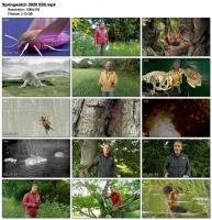 Springwatch 2020 E08 (1280x720p HD, 50fps, soft Eng subs)