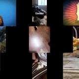 Howie Mandels Animals Doing Things S02E05 WEB x264-TBS Howie Mandels Animals Doing Things S02E05 WEB x264-TBS