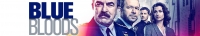 Blue Bloods S09E17 XviD-AFG[TGx]