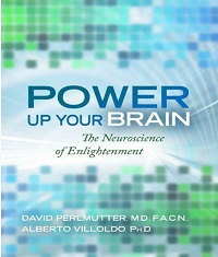 Power Up Your Brain - The Neuroscience of Enlightenment Power Up Your Brain - The Neuroscience of Enlightenment