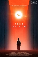True North 2020 WEB h264-RedBlade[TGx]