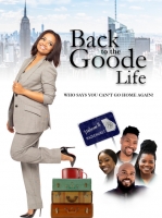 Back To The Goode Life 2019 480p WEB X264-RMTeam