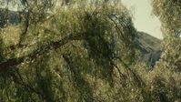 Physical S02E09 XviD-AFG EZTV Physical S02E09 XviD-AFG EZTV