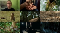 Nature S37E04 A Squirrels Guide To Success HDTV x264-W4F