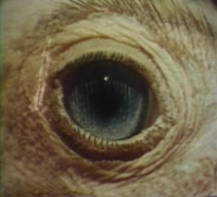 The Searching Eye (1964) [720p] [BluRay] [YTS] [YIFY]