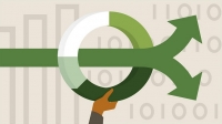 Lynda | Corporate Finance: Robust Financial Modeling [FCO]