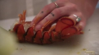 Hells Kitchen US S19E12 XviD-AFG EZTV Hells Kitchen US S19E12 XviD-AFG EZTV