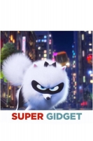 Super Gidget 2019 BDRip x264-FLAME[TGx]