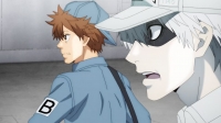 Cells At Work S02E05 720p HEVC x265-MeGusta EZTV Cells At Work S02E05 720p HEVC x265-MeGusta EZTV