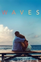 Waves 2019 1080p BluRay x264-AAA
