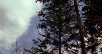 Laurin (1989) [BluRay] [720p] [YTS] [YIFY]