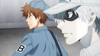 Cells At Work S02E05 720p WEB H264-URANiME EZTV Cells At Work S02E05 720p WEB H264-URANiME EZTV