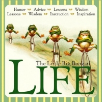 Little Big Book Of Life (gnv64)