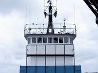 Deadliest Catch S18E06 480p x264-mSD EZTV