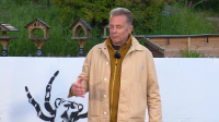 Springwatch S19E09 XviD-AFG EZTV Springwatch S19E09 XviD-AFG EZTV