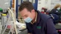 Mega Zoo S01E09 Code Blue 720p HEVC x265-MeGusta EZTV
