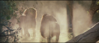 Roar 1981 1080p BluRay H264 AAC Roar 1981 1080p BluRay H264 AAC