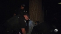 Cops S32E25 PROPER HDTV x264-W4F [eztv]