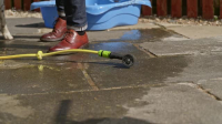 Dogs Behaving Badly S06E06 XviD-AFG EZTV