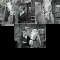 Mister Ed (1958–1966)-All Seasons-[samson599]