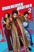 Undercover Brother 2 2019 DVDRip x264-FRAGMENT[TGx]