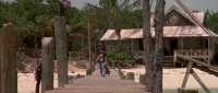 Flipper 1996 BRRip XviD MP3-XVID
