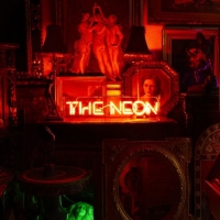 Erasure - The Neon (2020) Mp3 320kbps [PMEDIA] ️
