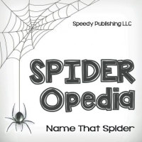 [ DevCourseWeb ] Spider-Opedia Name That Spider