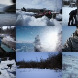 Life Below Zero S11E11 WEB x264-TBS Life Below Zero S11E11 WEB x264-TBS