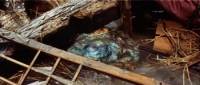Mothra vs Godzilla (1964) [BluRay] [1080p] [YTS] [YIFY]
