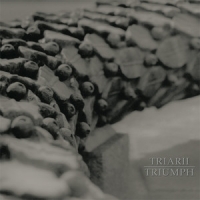 Triarii Discography (2004-2011) [MP3 192-320 kbps]