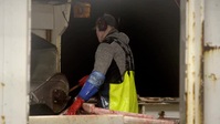 Ice Cold Catch S01E04 XviD-AFG EZTV Ice Cold Catch S01E04 XviD-AFG EZTV