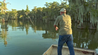 Swamp People S15E12 XviD-AFG EZTV Swamp People S15E12 XviD-AFG EZTV