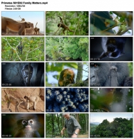 Primates S01E02 Family Matters (1280x720p HD, 50fps, soft Eng subs)