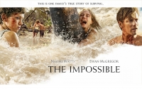 The Impossible (2012) 720p BRRip Dual Audios [ HIN + ENG ] Eng Sub