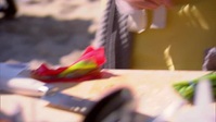 Beachside Brawl S02E02 XviD-AFG EZTV