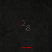 Trey Songz - 28 (2018) [320 Kbps][Pradyutvam]